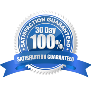 Lodo Web Premium WordPress Support 100% Guarantee